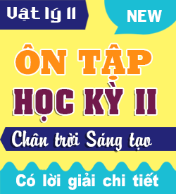 Ôn tập Học kỳ II (CTST_11)